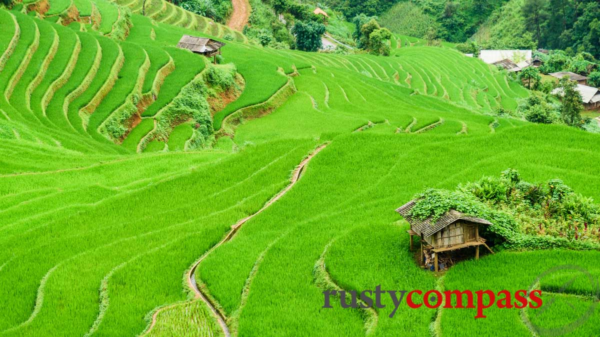 Mu Cang Chai, Yen Bai Province, VIetnam